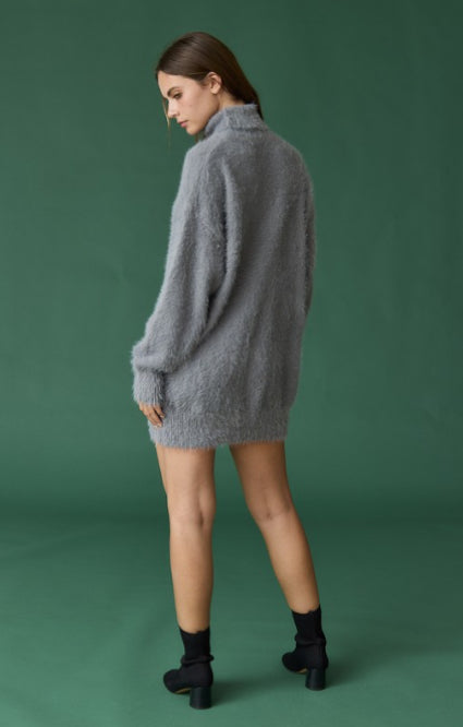 Cozy Turtle Neck Sweater Dress
