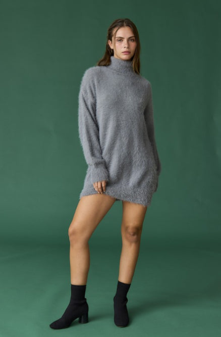 Cozy Turtle Neck Sweater Dress